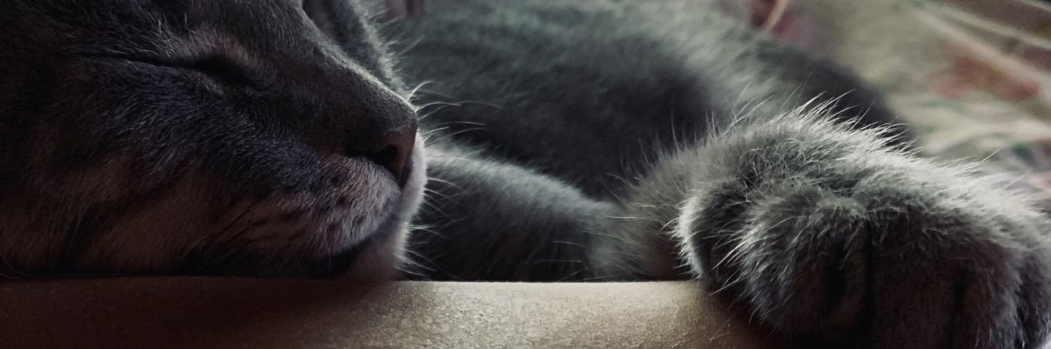 LuuliBoujon's profile banner image