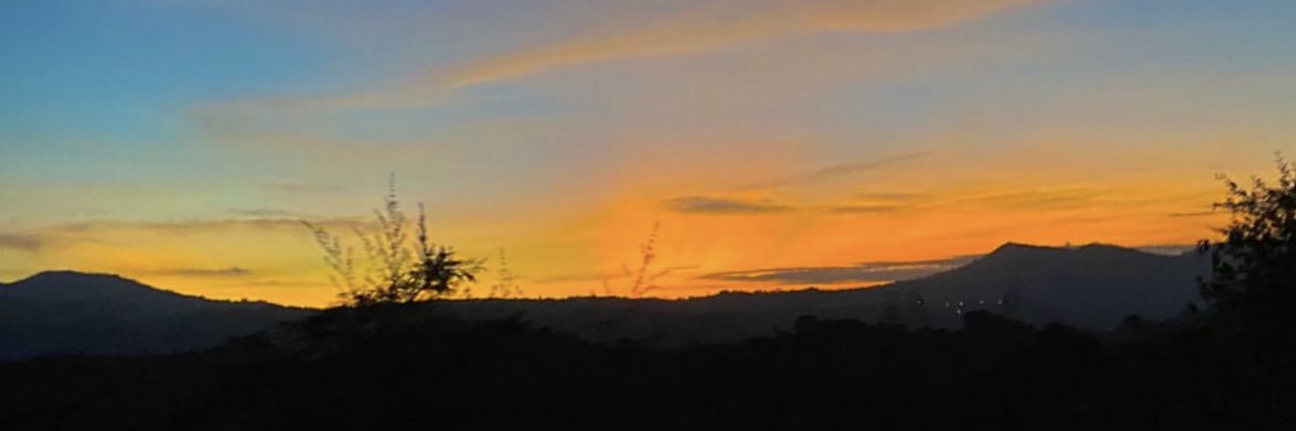 annabante1's profile banner image
