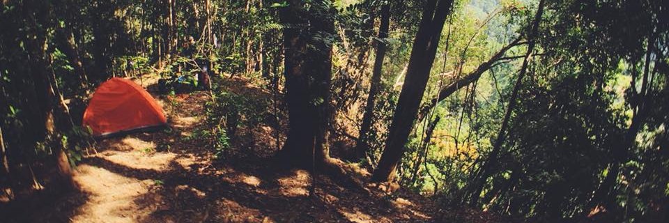 friezchka's profile banner image