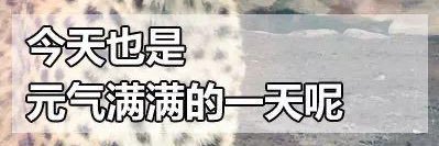 Ningfugui's profile banner image