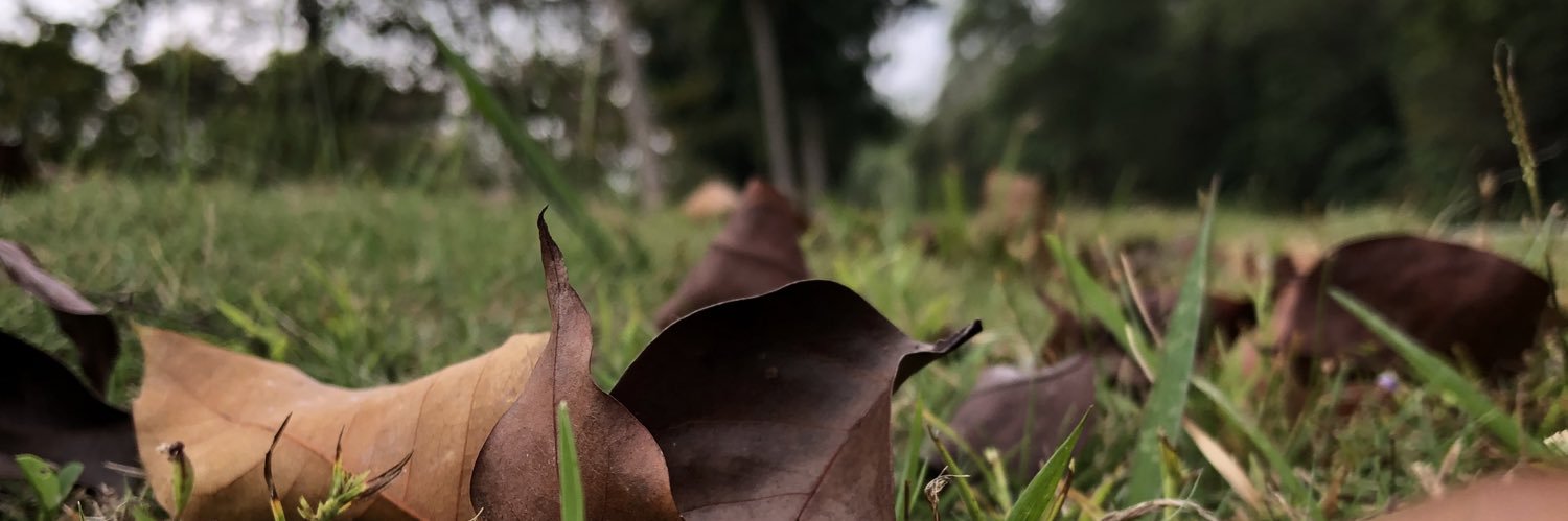 dindinuul's profile banner image