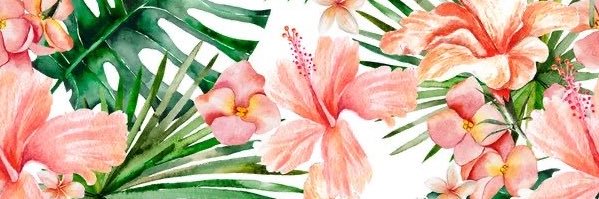 _mSirena's profile banner image