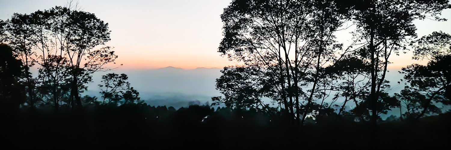 Papaleiga's profile banner image