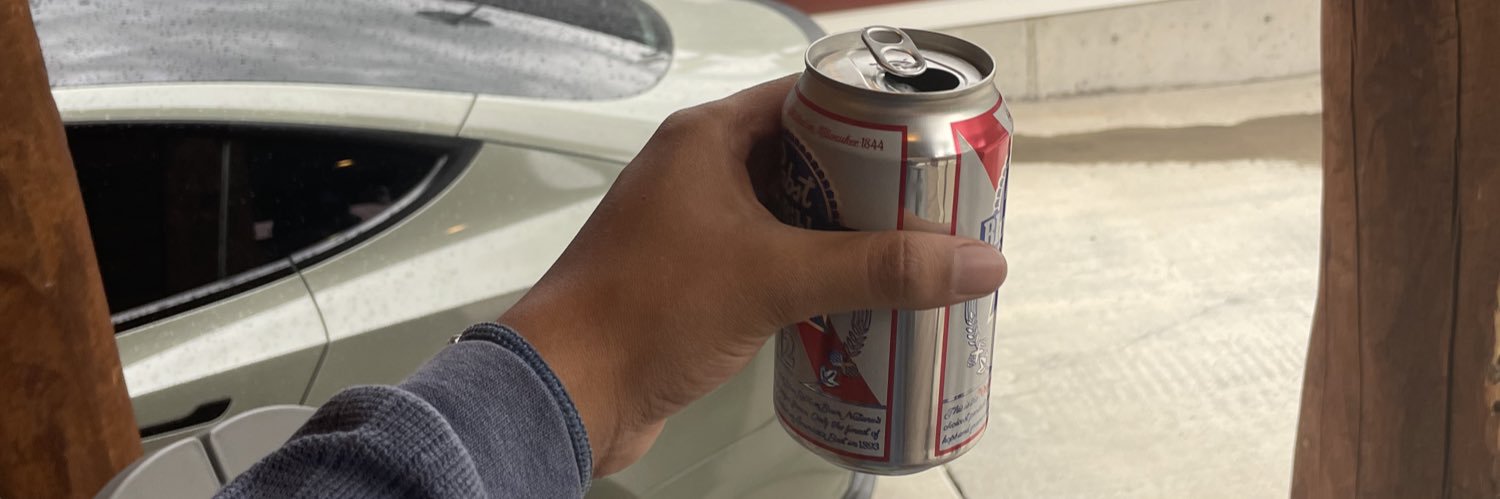 ThatOneBoyStef's profile banner image