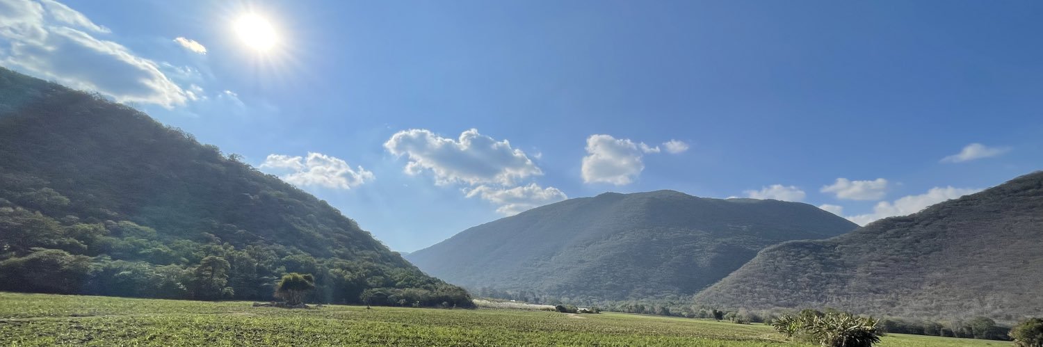 becasaurio's profile banner image