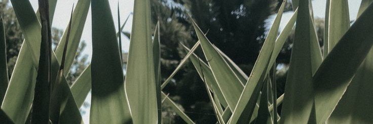Hayuongg's profile banner image