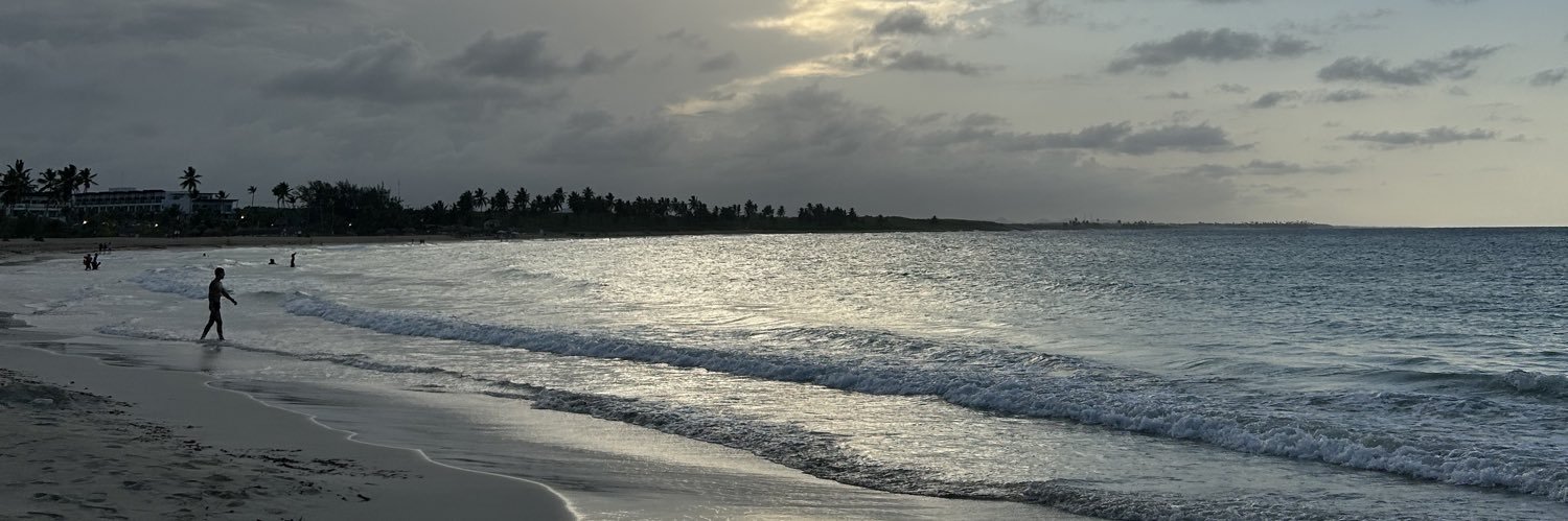 druvessel's profile banner image