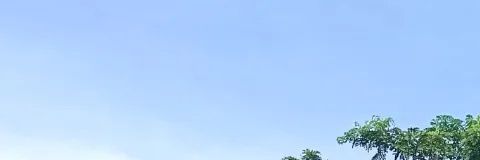 Thiarafania's profile banner image