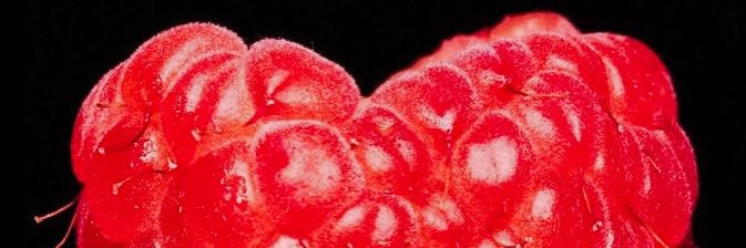 simplagoon's profile banner image