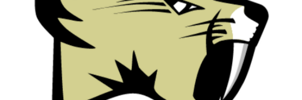 SabersTrack2024 Profile Banner