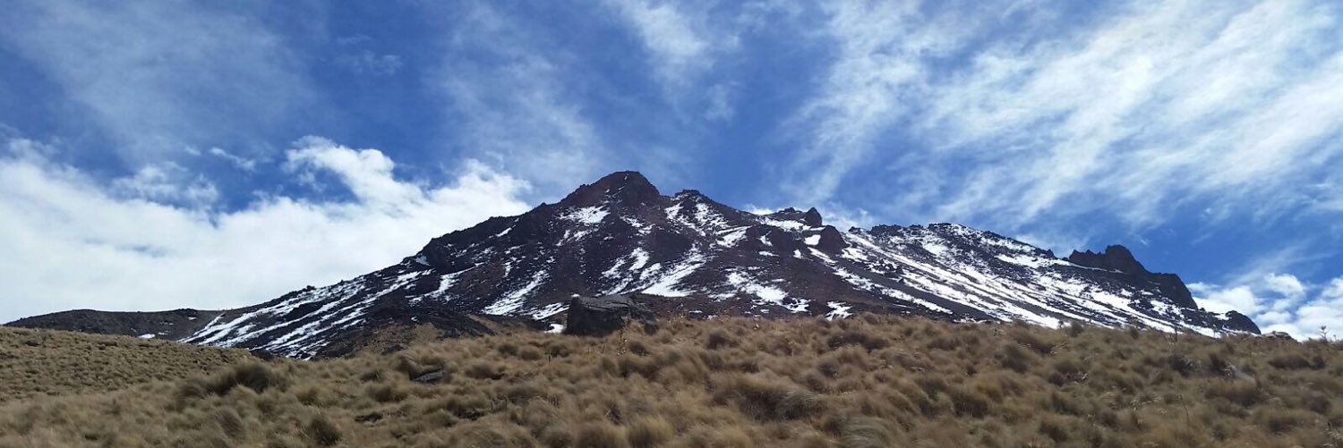 elpollodeross's profile banner image