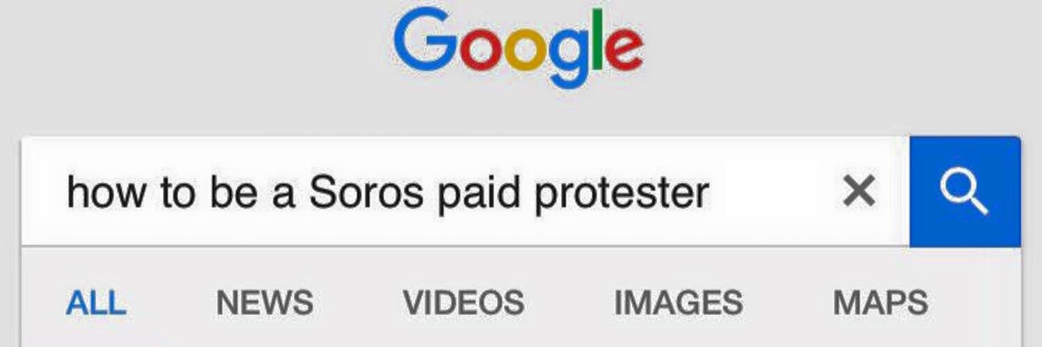 tara riggs, phd banner