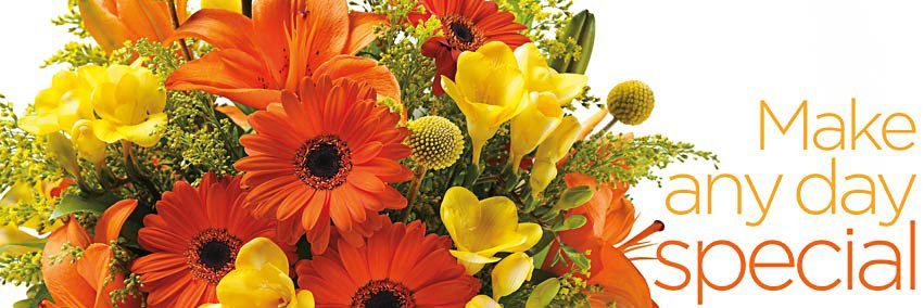 DarbysFlorist's profile banner image