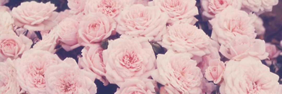 r0lliequeenv2's profile banner image