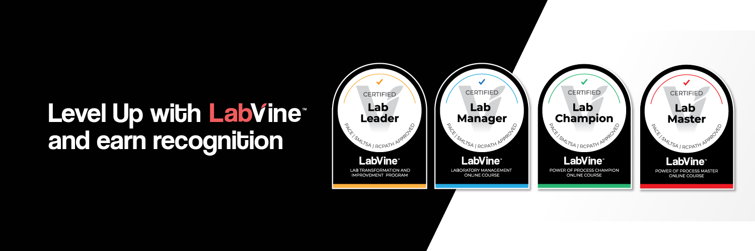 LabVine's profile banner image