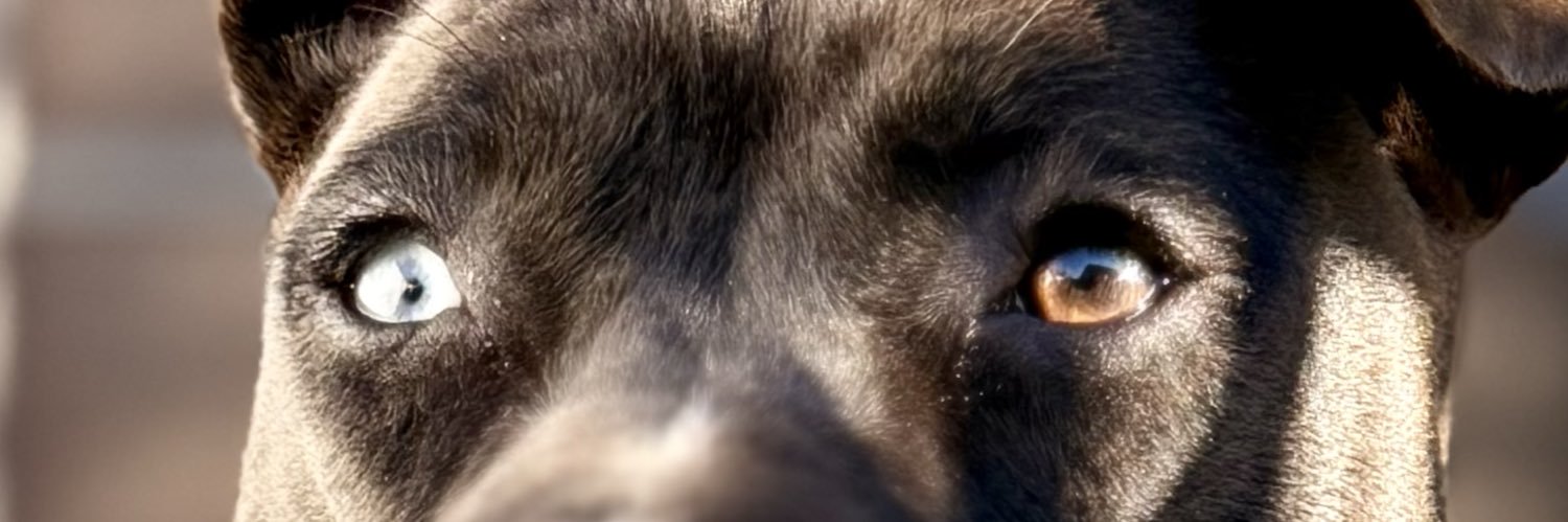 __izayy's profile banner image