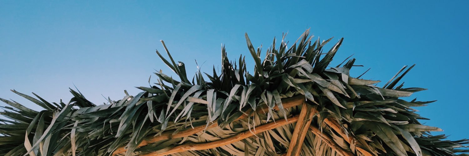 michelaafusco's profile banner image