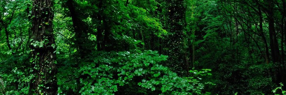 AgaLuc1's profile banner image
