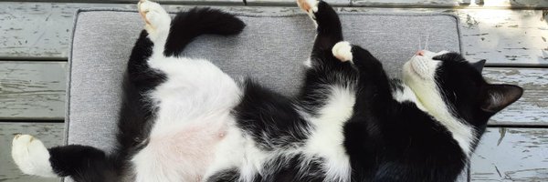 Emmerichtrads Profile Banner