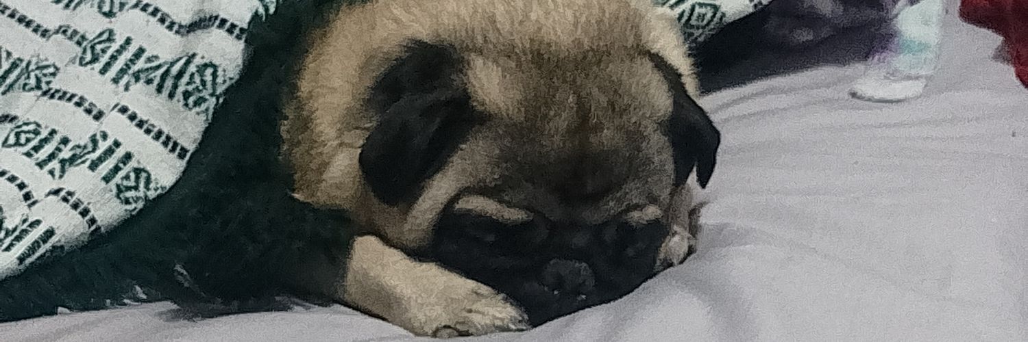 SnakeAlice's profile banner image