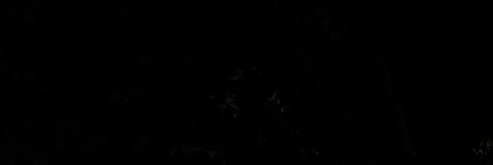 u5g11's profile banner image