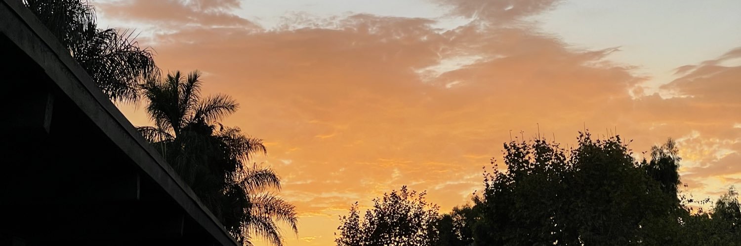teresarose_'s profile banner image