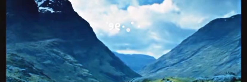 Bittersweet Jane 🦋🦋🦋 banner