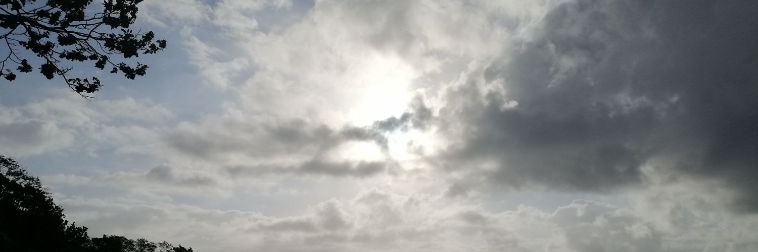 xTolomeox's profile banner image