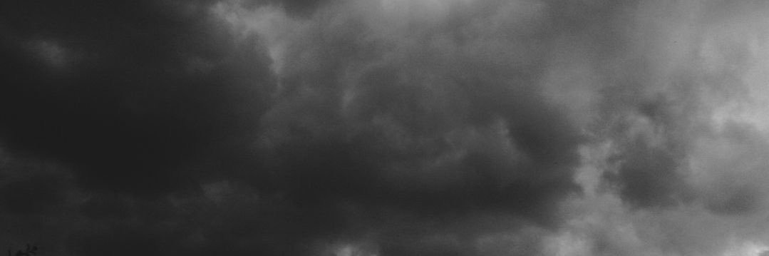 n ⋆˚ 𝜗𝜚˚⋆ banner