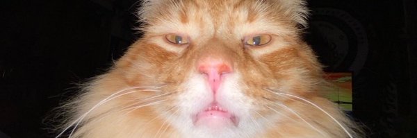 des_irezxxx Profile Banner