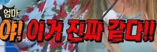 길치거북이🎗 banner