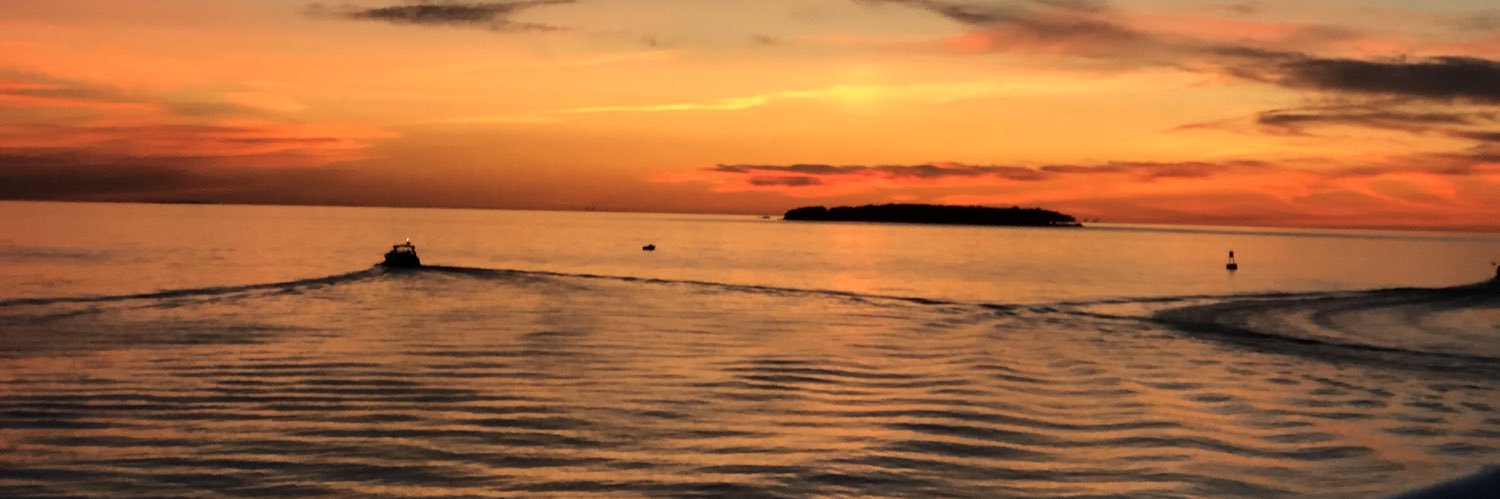 MaduEneli's profile banner image