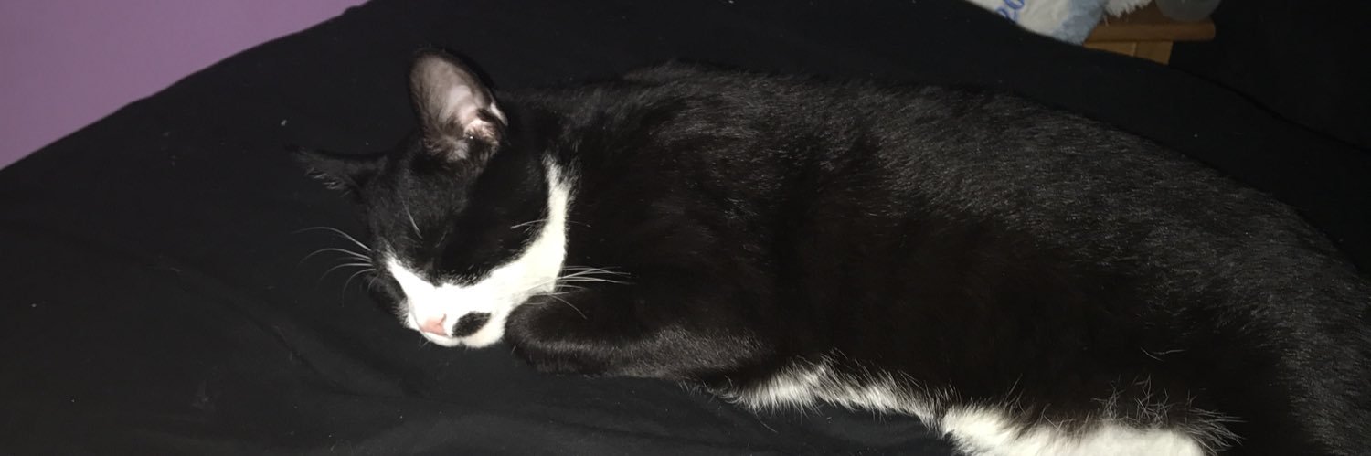Boopiecat's profile banner image