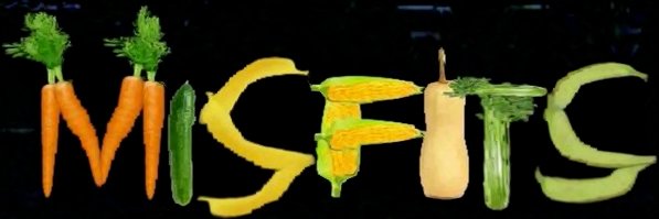 TerrorizingV's profile banner image