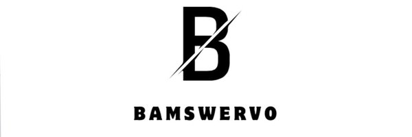 Bamswervo Profile Banner
