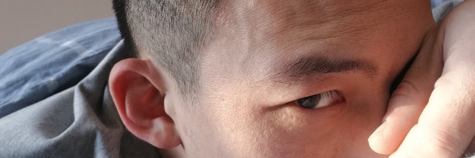 上海现PLA-1S banner