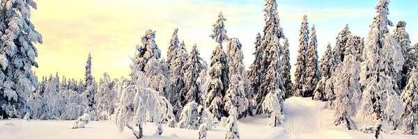 GeirMunch Profile Banner