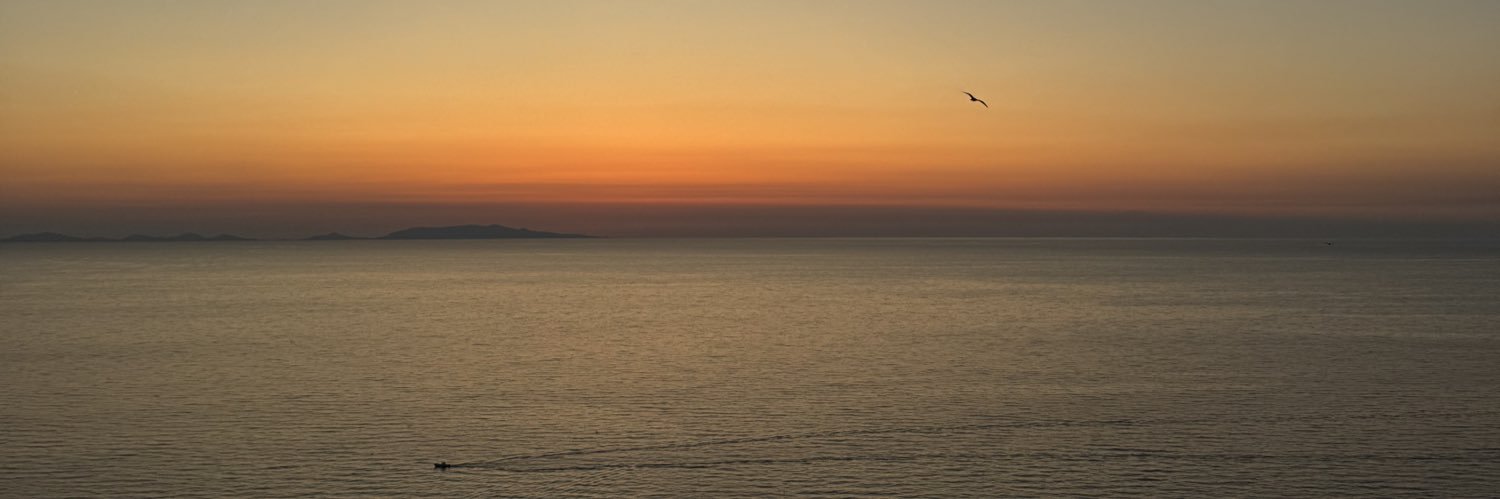 tinnaape's profile banner image