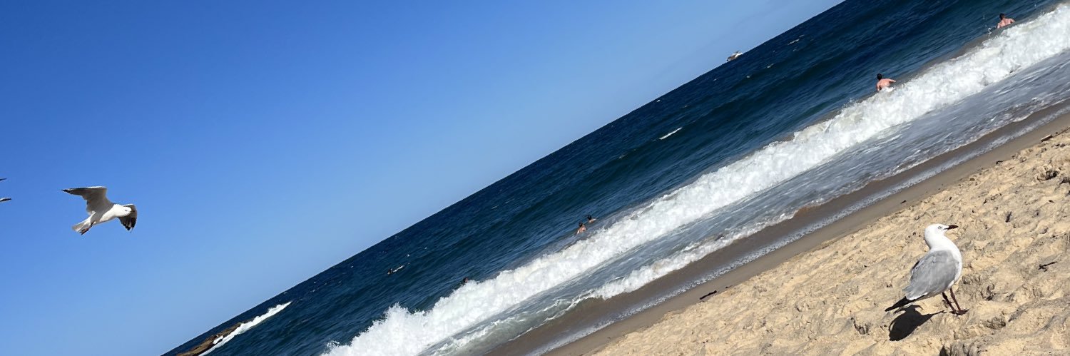 lsng36's profile banner image