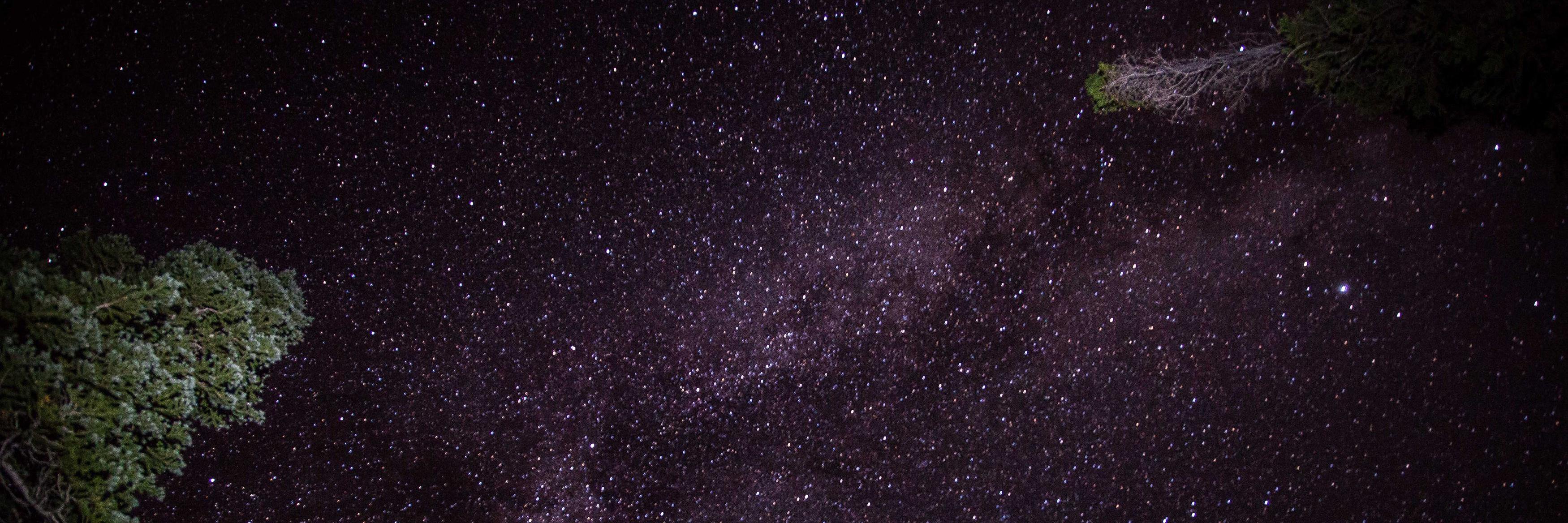 JesBickhart's profile banner image