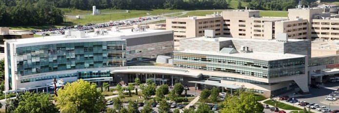 Lina Huerta-Saenz, MD, FAAP banner