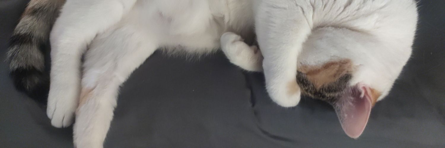 cat_osrs's profile banner image