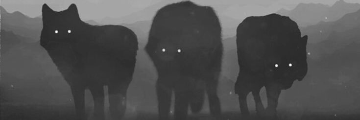 mota184's profile banner image