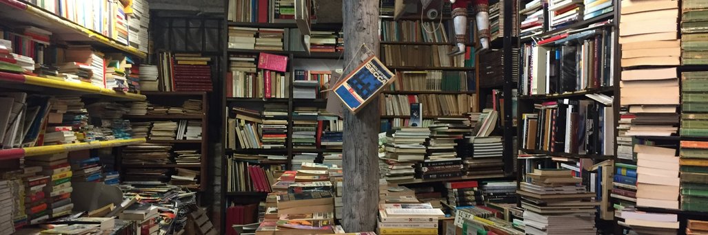 Marion Ducrocq banner