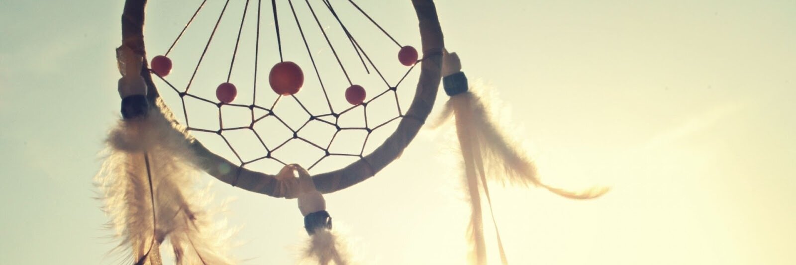 Brooke_Waters's profile banner image