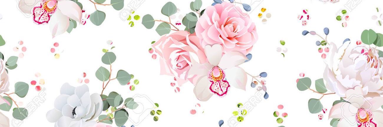 Cornelia_Ner's profile banner image
