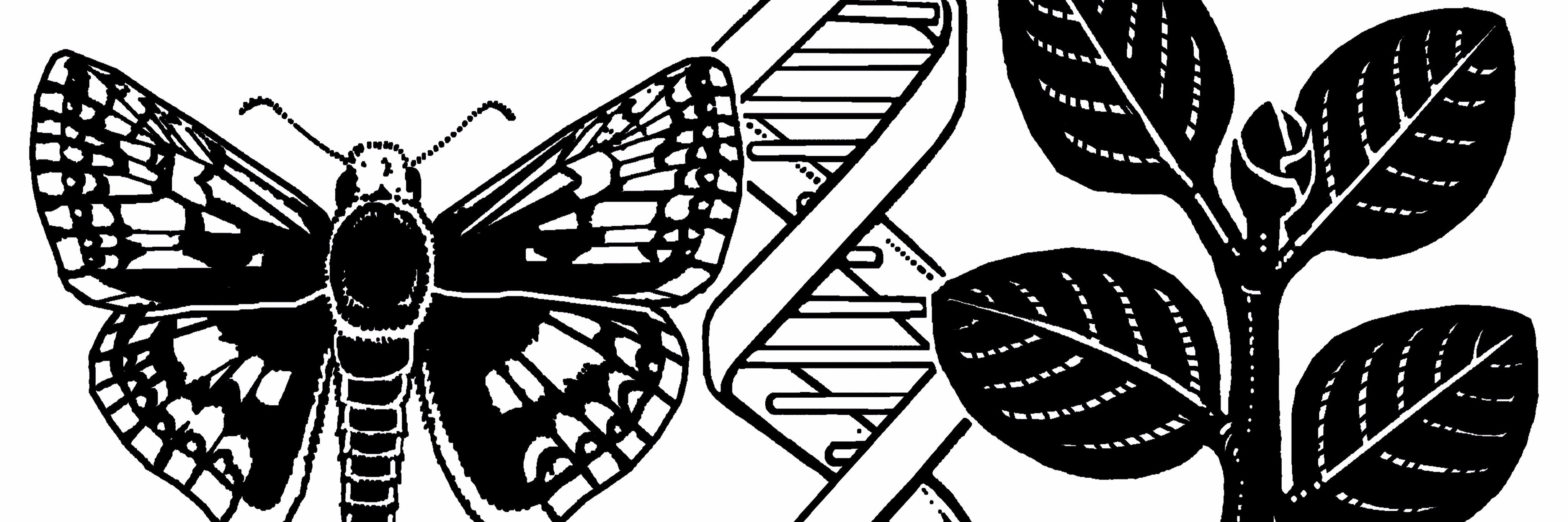 SCUBiology banner