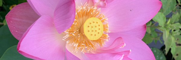 heynisha Profile Banner