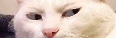 nininggaskins's profile banner image