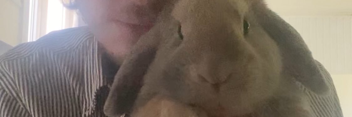 stephane bern stan account banner